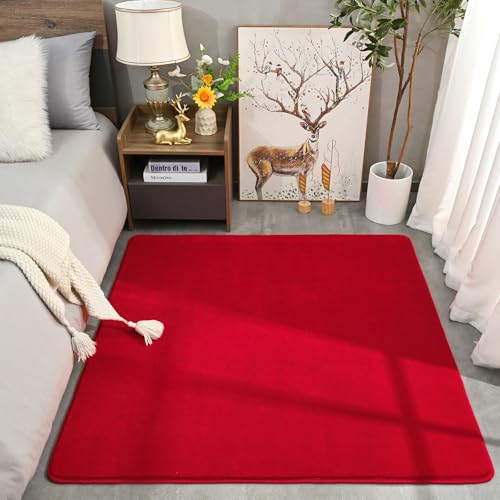 5x5 Square Area Rugs for Bedroom Living Room (5' x 5' (Square) / Red)