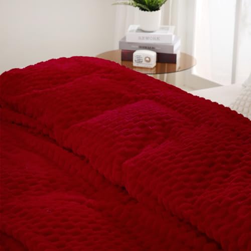 Red Throw Blanket 60"×80" inches Fuzzy 3D Jacquard Decorative (Red / 60"×80”)