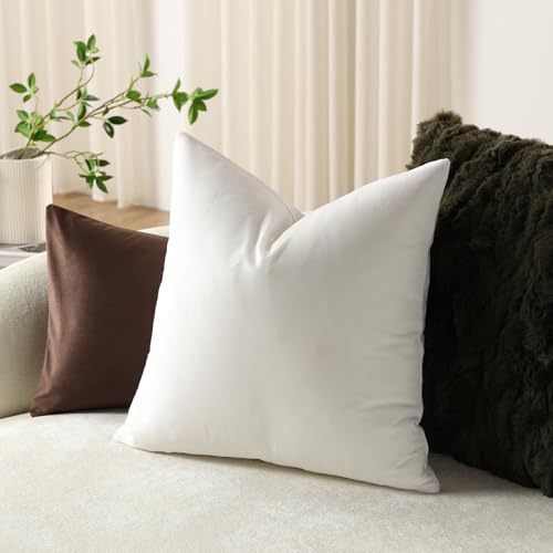 Euro Sham Covers 26x26 Ivory White (Cloud Danser / 26" x 26" (Pack of 2))