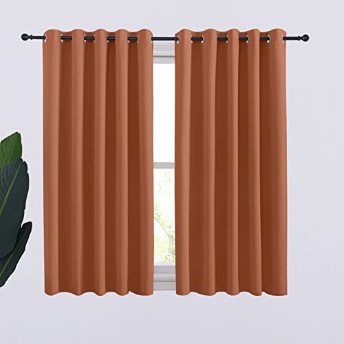 Thermal Insulated Burnt Orange Curtains Blackout Draperies (Burnt Orange / 70"W x 54"L (Pack of 2))