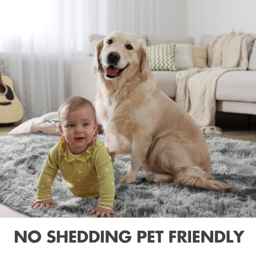 10x14 Ft Extra Large Shag Rugs for Living Room (Ab Tie Dyed Light Grey / 10' X 14' (Rectangular))