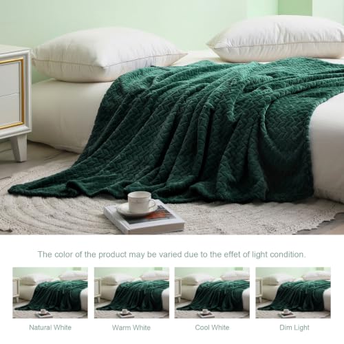 Fleece Throw Blanket for Couch Sofa (Forest Green / Throw ( 50x70 IN ))
