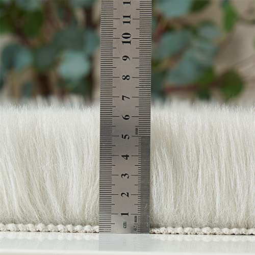 Ultra Soft Fluffy Shaggy Area Rug Faux Fur Rug Chair Cover Seat Pad Fuzzy Area Rug for Bedroom Floor Sofa Living Room (Light Grey / 4' x 6' (Rectangular))