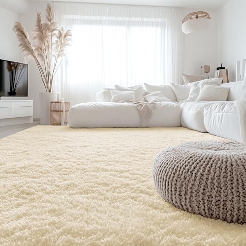6x9 Machine Washable Large Area Rugs for Living Room (6x9 Ft / Cream)