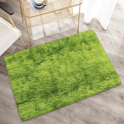 Small Tie Dyed Area Rug for Bedroom 2x3 Mini Green Fluffy Rug Mat Bedside Throw Rug for Kids Room Boys Teens Nursery Baby Dorm Living Room Home Decor Aesthetic Carpets (Tie-dyed Green / 2' x 3' (Rectangular))