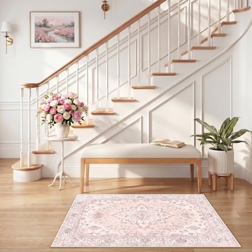 Washable Area Rug (Pink / 2'6" x 4' (Rectangular))