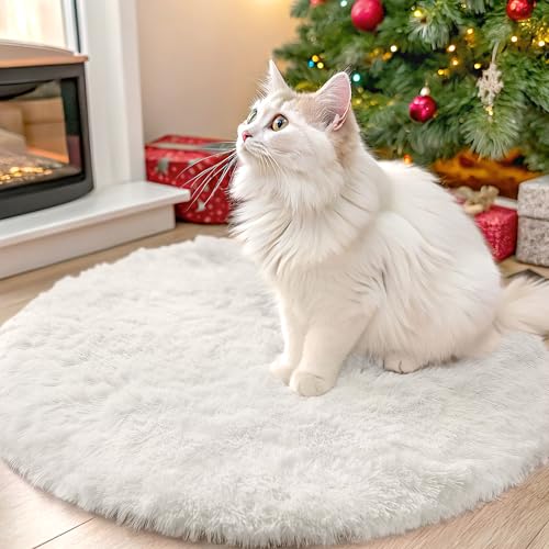 Ivory Round Rugs for Bedroom (2 Ft Round / Ivory)