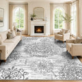 HEBE Area Rug for Living Room 6'x9' (Grey / 6' x 9' (Rectangular))