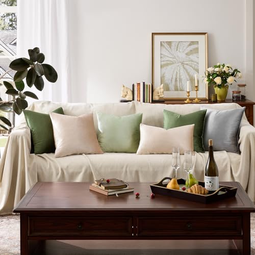 Velvet Pillow Covers 16x16 Decorative Pillows Pack of 2 Beige (Champagne / 16" x 16" (Pack of 2))