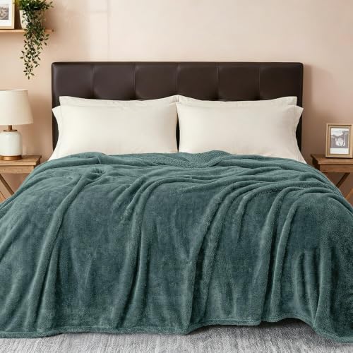 Fuzzy Plush Fleece Bed Blanket Twin XL Size (Celadon / 90x66 IN)