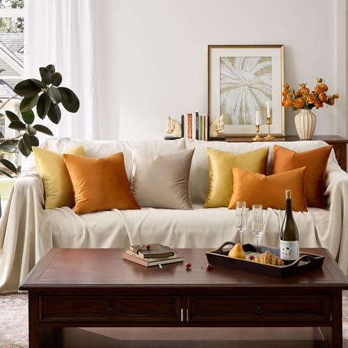 Orange Velvet Pillow Covers 26x26 Decorative Pillows Pack of 2 (Orange / 26" x 26" (Pack of 2))