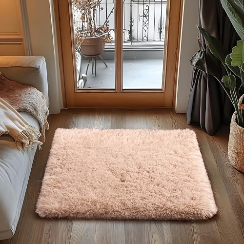 Small Area Rug (3' x 2' (Rectangular) / Camel)