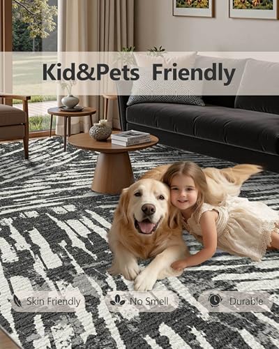 Washable 5x7 Area Rugs for Living Room Modern Rug (Charcoal / 5' x 7' (Rectangular))