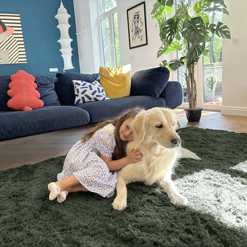 5x7 Machine Washable Large Area Rugs for Living Room (5x7 Ft / Olive Green)