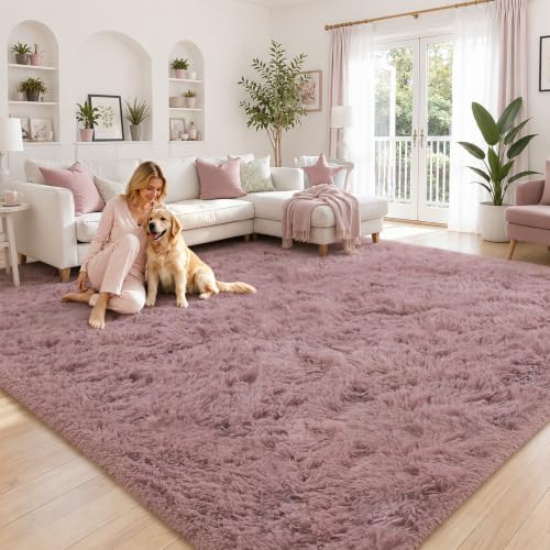 5x8 Blush Shag Area Rug for Living Room (Blush / 5' x 8' (Rectangular))
