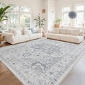 Washable Rugs 5x7 Area Rugs for Living Room (5' x 7' (Rectangular) / Grey/Cream/White/Light Blue)
