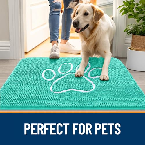 Dog Door Mat for Muddy Paws 30x20 (Teal / 30" X 20")