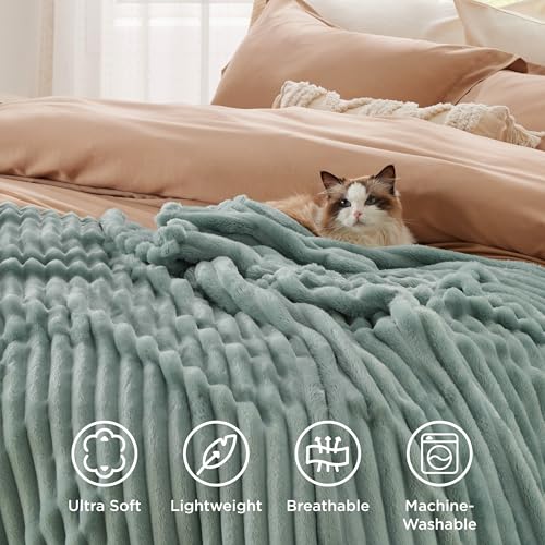 Soft Twin Blanket for Bed Decor Gifts Sage Green 60"x80" (Sage Green / Twin)