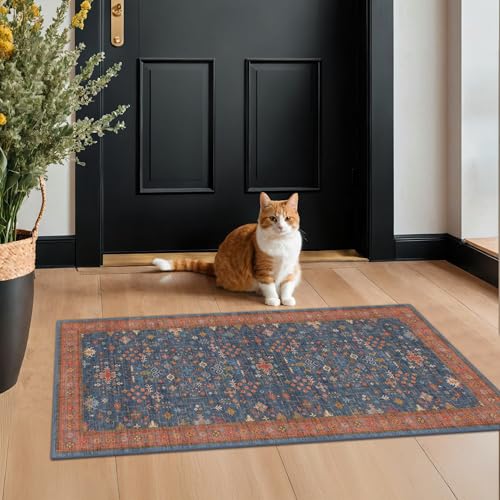 Washable 2x4 Entry Rug Front Door Indoor (2' x 4' (Rectangular) / Blue / Terracotta)