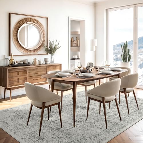 6x9 Area Rug for Living Room Washable Non (Light Gray / 6' x 9' (Rectangular))