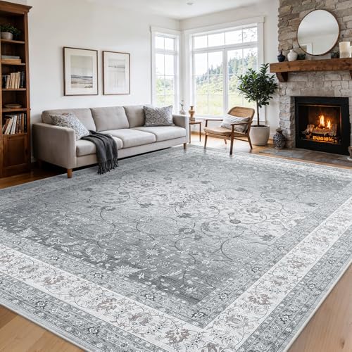 Amada 8x10 Washable Area Rug for Living Room (8' x 10' (Rectangular) / Silver/Gray)