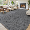 Area Rugs 10x14 for Living Room (Dark Grey / 10' x 14' (Rectangular))