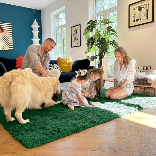 2x4 Machine Washable Runner Rugs for Hallway (2x4 Ft / Dark Green)