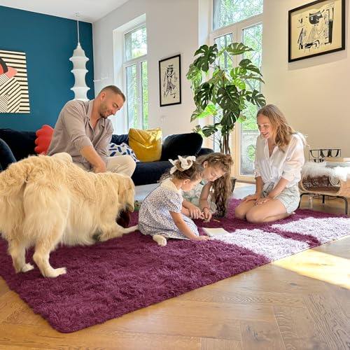 5x7 Machine Washable Large Area Rugs for Living Room (5x7 Ft / Burgundy)