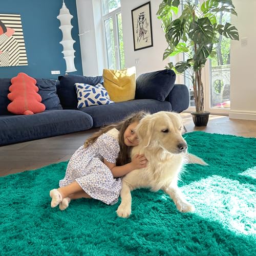 6x9 Machine Washable Large Area Rugs for Living Room (6x9 Ft / Teal Green)