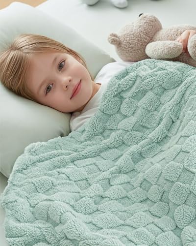 Plush Checkered Fleece Blanket Sage Green Throw (Sage Green / Throw)