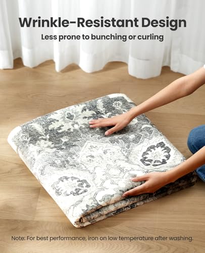 Amada Large 9x12 Washable Area Rug for Living Room (9' x 12' (Rectangular) / Light/Grey)