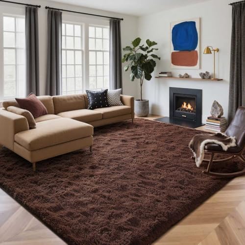 6x9 Ft Large Shag Rugs for Living Room Decor (De Coffee / 6' X 9' (Rectangular))