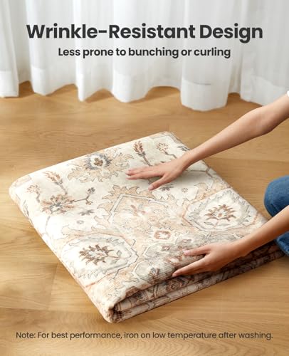 Amada 5x7 Washable Area Rug for Living Room (5' x 7' (Rectangular) / Beige)