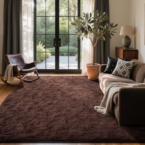 6x9 Ft Large Shag Rugs for Living Room Decor (De Coffee / 6' X 9' (Rectangular))