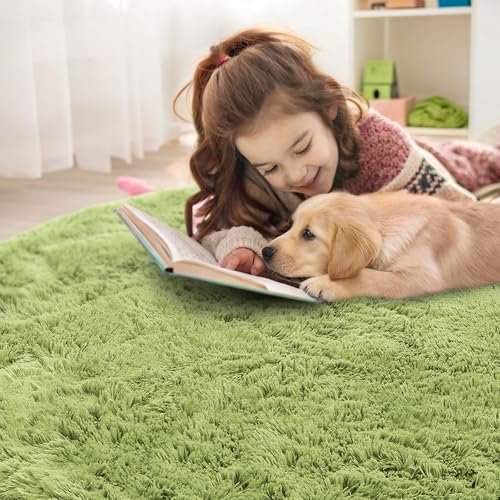 Grass Green Round Rugs for Bedroom (5 Ft Round / Grass Green)