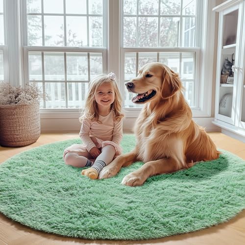 Sage Green Round Area Rugs 6ft (Sage Green / 6' (Round))