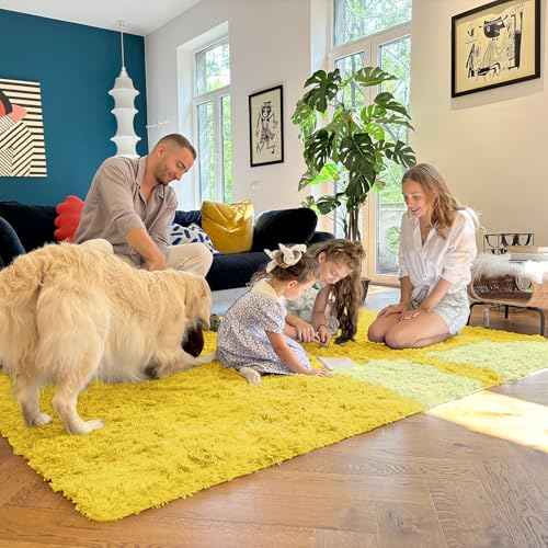 5x8 Machine Washable Large Area Rugs for Living Room (5x8 Ft / Yellow)