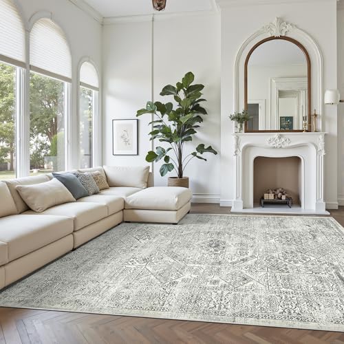 Washable Area Rug 8x10 Large Soft Living Room Rugs Light Gray (Light Gray / 8' x 10' (Rectangular))