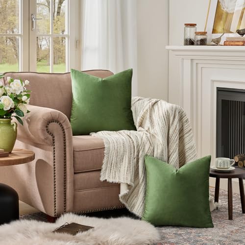 Olive Green Velvet Throw Pillow Covers 18x18 Pack of 2 (Olive Green / 18" x 18" (Pack of 2))