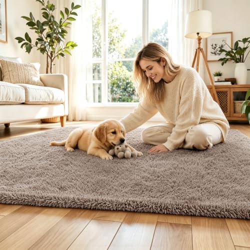 Area Rugs10x14 for Living Room (Beige / 10' x 14' (Rectangular))