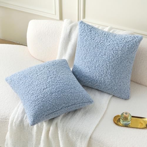 Pack of 2 Faux Fur Teddy Boucle Pillow Covers 24x24 Inch (Light Blue / 24" x 24" (Pack of 2))