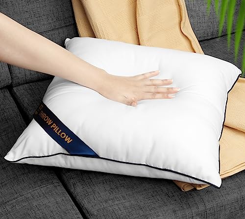 14x14 Throw Pillow Inserts (14x14 Inch)