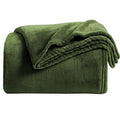 Super Soft Throw Blanket Premium Silky Flannel Fleece Twin Size Green Microfiber Lightweight Blanket All Season Use (Green / Twin(60"x80"))