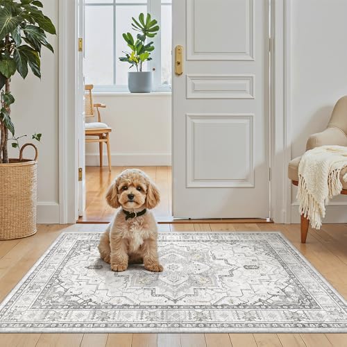 Washable Area Rug 2x3 Small Entryway Rugs Non (Grey / 2' x 3' (Rectangular))