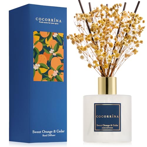 Reed Diffuser (6.7 Ounce/1pack)