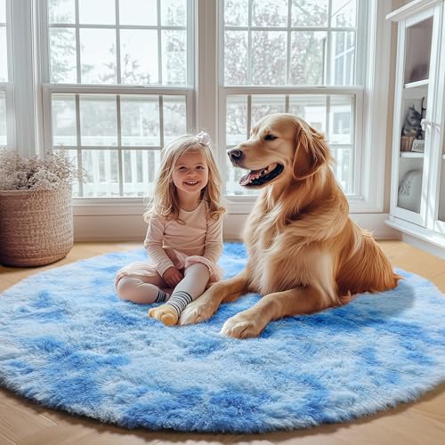 Round Rugs 6ft for Living Room Bedroom (Sky Blue / 6' (Round))