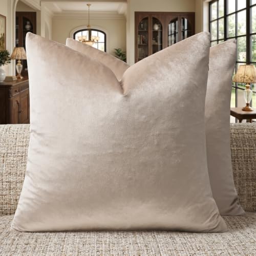Velvet Pillow Covers 18x18 Decorative Pillows Pack of 2 Beige (Champagne / 18" x 18" (Pack of 2))