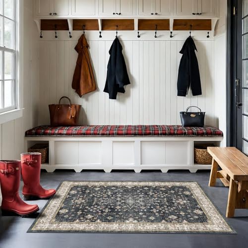 Large 3x5 Entryway Rug Indoor (3' x 5' (Rectangular) / Ashen / Multi)