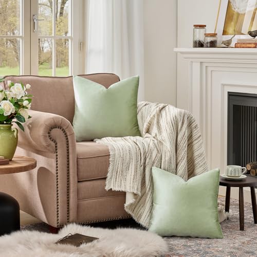 Sage Green Velvet Throw Pillow Covers 18x18 Pack of 2 (Sage Green / 18" x 18" (Pack of 2))