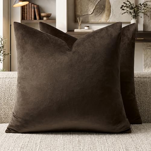 Brown Velvet Pillow Covers 22x22 Decorative Pillows Pack of 2 (Brown / 22" x 22" (Pack of 2))